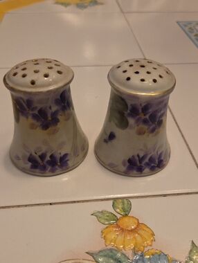 Hand-Painted Nippon Porcelain Salt & Pepper Shakers with Purple Floral Motif